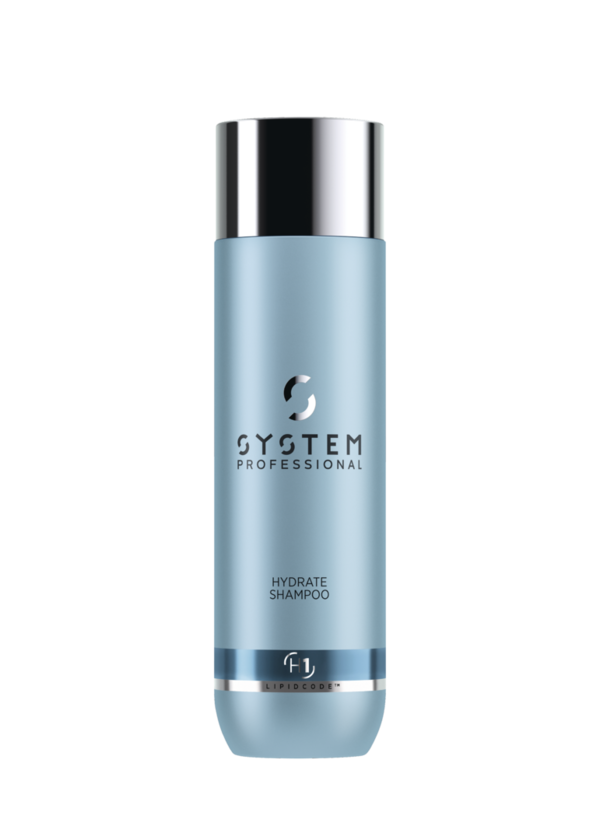 System Professional Hydrate Shampoo H1 250 ml